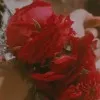 Arooj Sohail