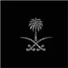Bashayer Alharbi
