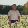 Nicolaas Mienie