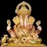 Suneel Salvi