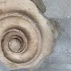 A Galanopoulos