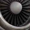 Mansi Shukla