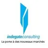 INDEGATE CONSULTING
