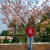 Akash Choudhary