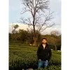 Tizil Nema