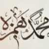 Muhammad Hamza Ovais