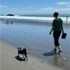 Amanda