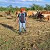 Anna Chibamu
