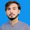 Malik Hanzala