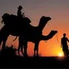 Yogi Jaisalmer