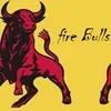 Fire Bulls Infosolution