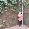 Wulandari Priyatno