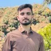 Mumtaz Shabbir