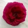 Sowtha Banu