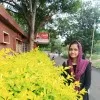 Rifa Banu