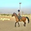 Pawan Singh