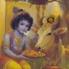 Susheel Kumar