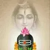Mahadev Impex