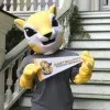 Baldwin The Fighting Squirrel
