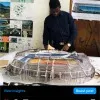 Daniel Didas Materu