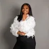 Adv Thulelo Mmakola Makola