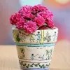 Pavithra