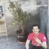 henok tadesse