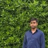 Wasim