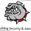 Bulldog Security And Advisors
