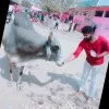 AMIT VERMA