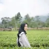 Aulia Hanifa