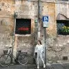 Alessandria Li