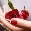 Vinod Choudhary® ⓁⒾⓄⓃ