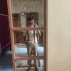 Arnav pandey