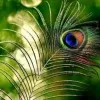 Adithya