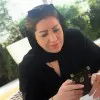 Bahareh