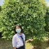 Athisara Leekudlo
