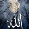 Hadi Mughal
