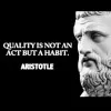 Richard Zinger Quality Assurance