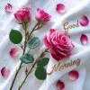 varughese PM