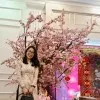 Doan Thu Ha