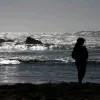 Rachana