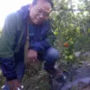 Iwan Setiawan