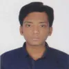 Dip Roy