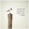 Islamic studio