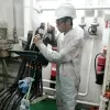Miswanto