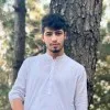 Sayed Numan