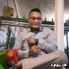 Wilis sri Handana