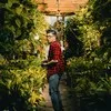 Theo Budiyanto