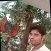 Romil Jain